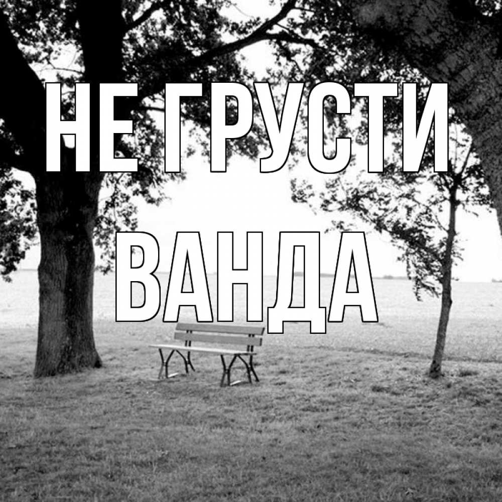 Открытка на каждый день с именем, Ванда Не грусти мощное дерево Прикольная открытка с пожеланием онлайн скачать бесплатно 