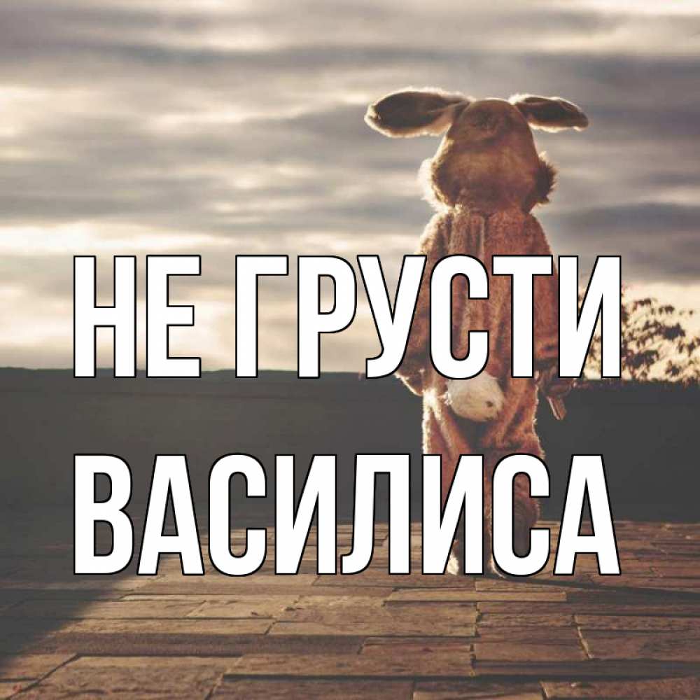 Открытка на каждый день с именем, Василиса Не грусти со спины Прикольная открытка с пожеланием онлайн скачать бесплатно 