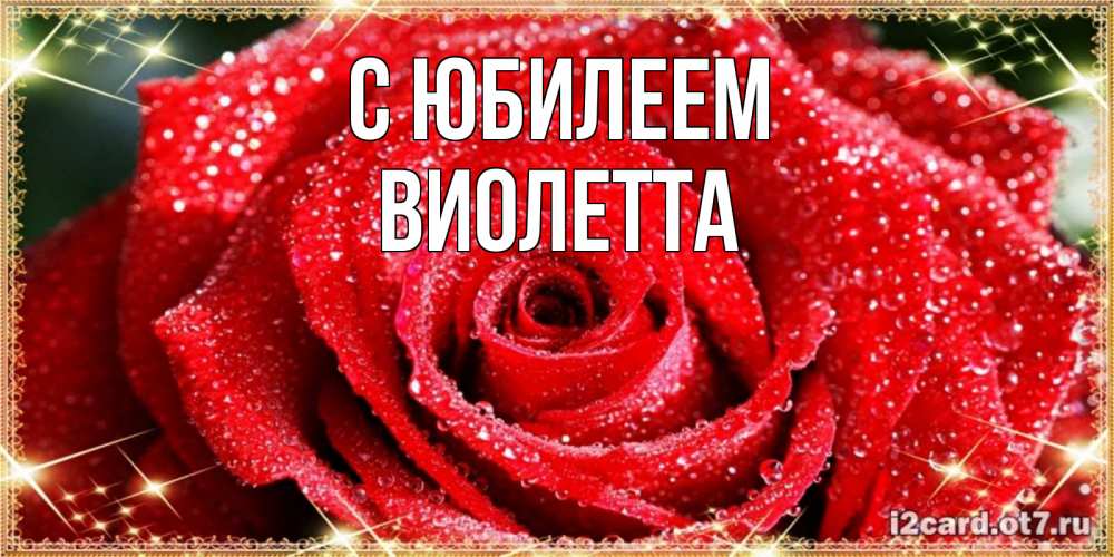 Открытка на каждый день с именем, Виолетта С юбилеем роса и роза. открытка с красивой розой Прикольная открытка с пожеланием онлайн скачать бесплатно 