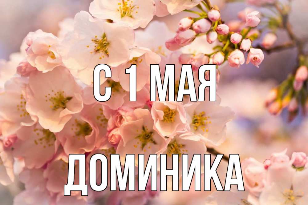 Открытка на каждый день с именем, Доминика С 1 мая С 1 мая Прикольная открытка с пожеланием онлайн скачать бесплатно 