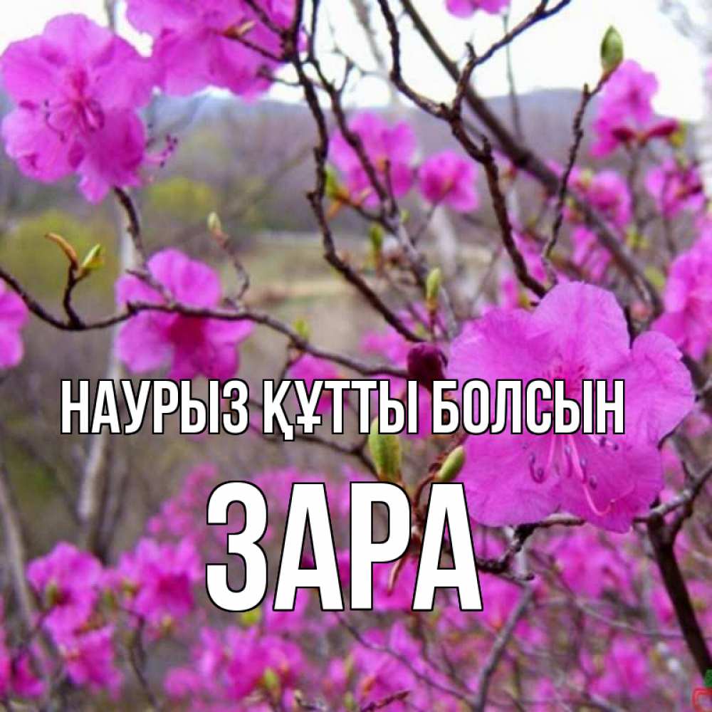 Открытка на каждый день с именем, Зара Наурыз құтты болсын наурыз мейрамы кутты болсын Прикольная открытка с пожеланием онлайн скачать бесплатно 
