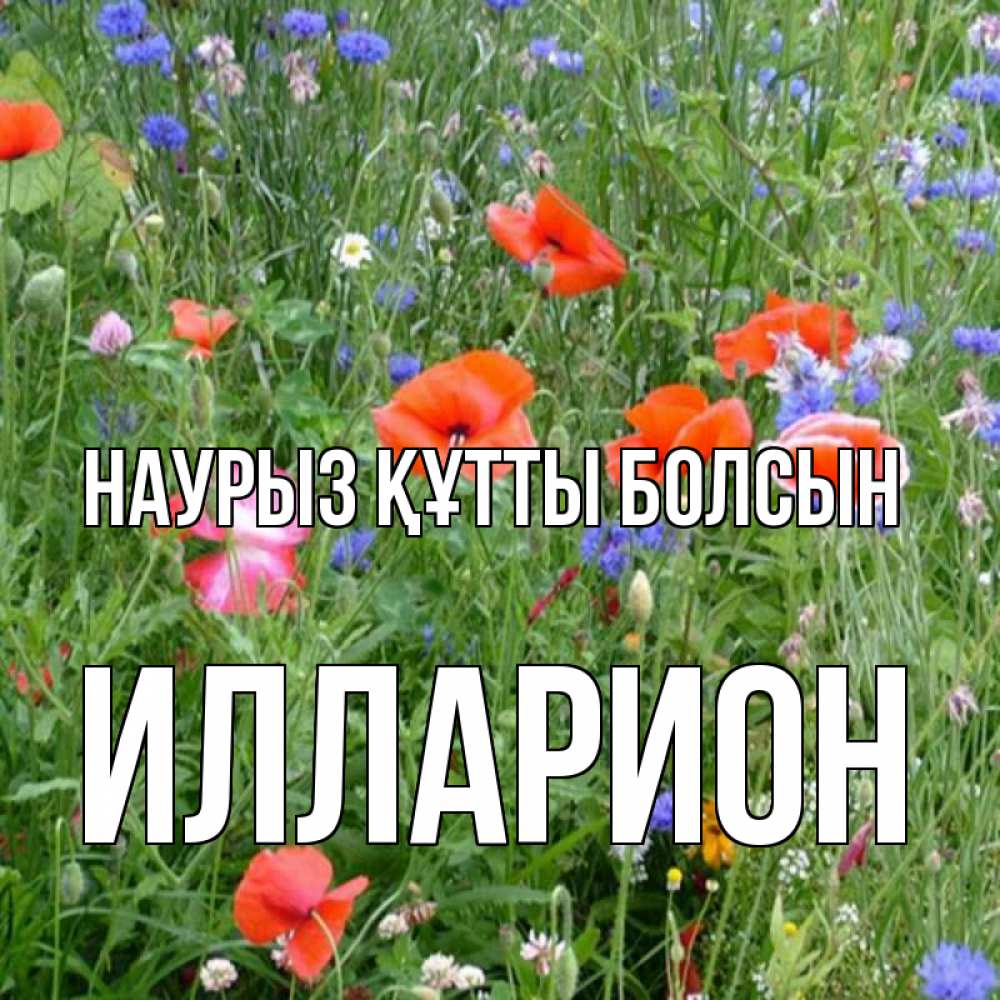 Открытка на каждый день с именем, Илларион Наурыз құтты болсын наурыз  4 Прикольная открытка с пожеланием онлайн скачать бесплатно 