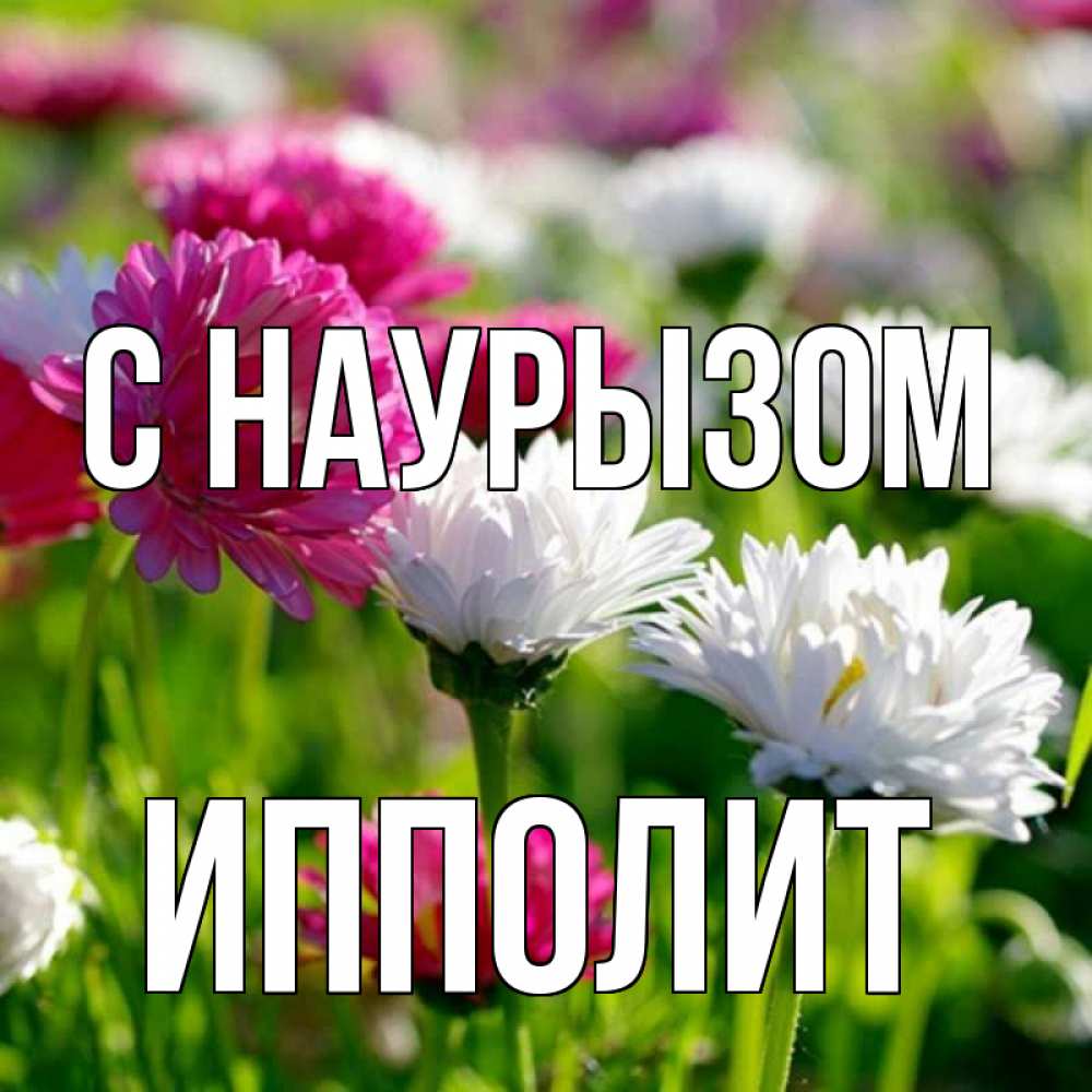 Открытка на каждый день с именем, Ипполит С наурызом праздник весны наурыз красота Прикольная открытка с пожеланием онлайн скачать бесплатно 