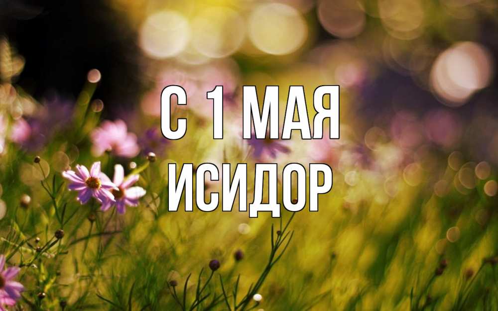 Открытка на каждый день с именем, Исидор С 1 мая С 1 мая Прикольная открытка с пожеланием онлайн скачать бесплатно 