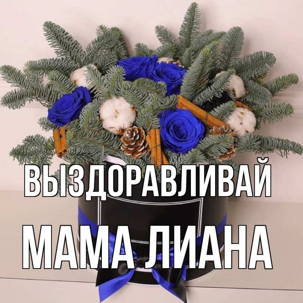 Открытка на каждый день с именем, Мама-Лиана Выздоравливай короче кто то загрузил эти шишки Прикольная открытка с пожеланием онлайн скачать бесплатно 