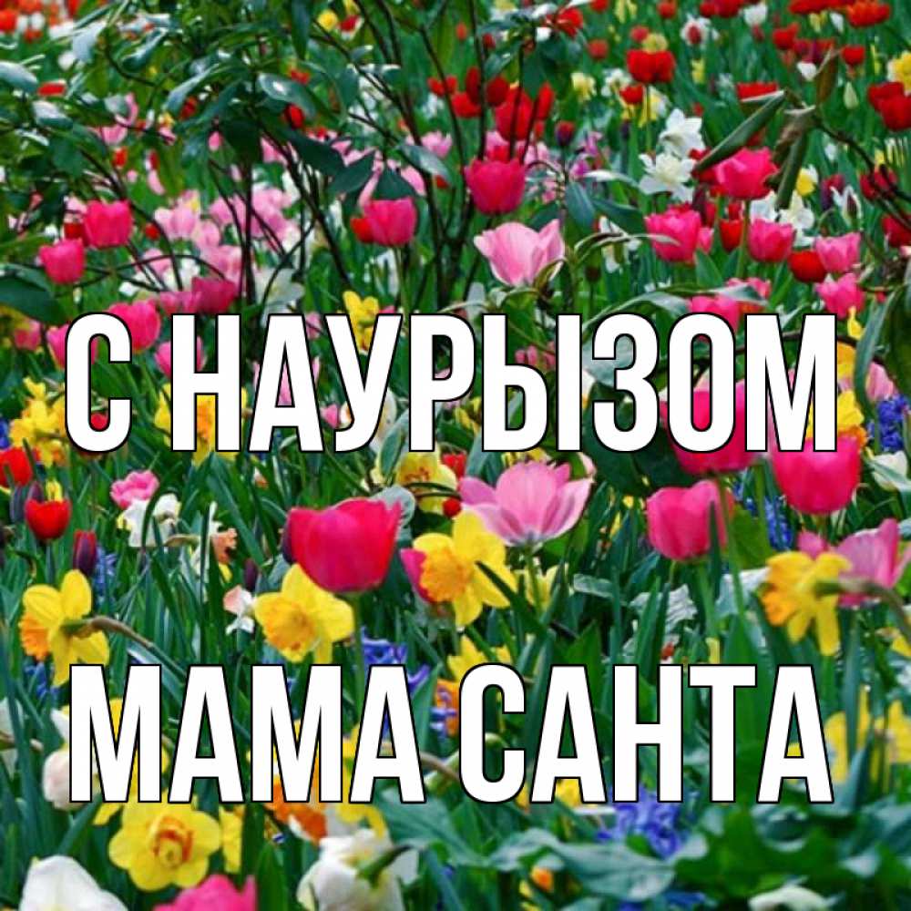 Открытка на каждый день с именем, Мама-Санта С наурызом с наурызом праздником весны поздравления для женщины Прикольная открытка с пожеланием онлайн скачать бесплатно 