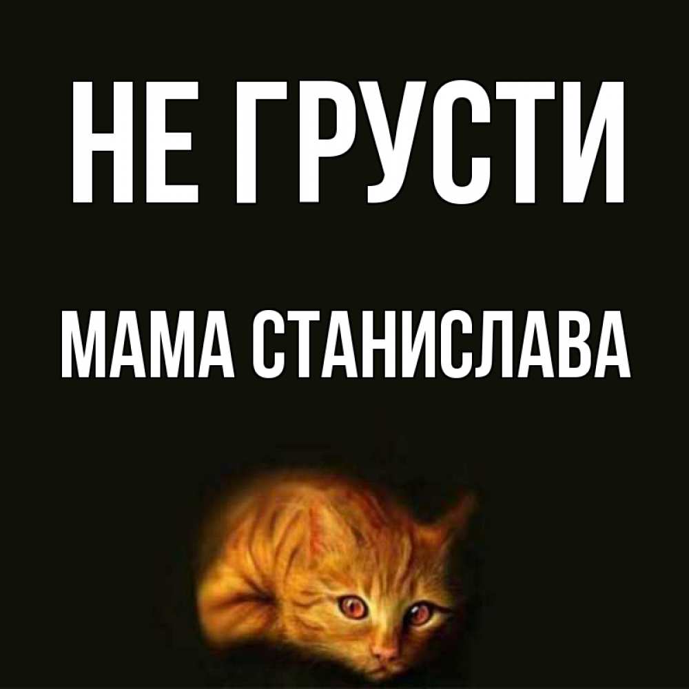 Открытка на каждый день с именем, Мама-Станислава Не грусти лежащий кот в темноте Прикольная открытка с пожеланием онлайн скачать бесплатно 