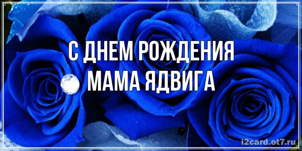 Открытка на каждый день с именем, Мама-Ядвига С днем рождения синие розы в росе Прикольная открытка с пожеланием онлайн скачать бесплатно 