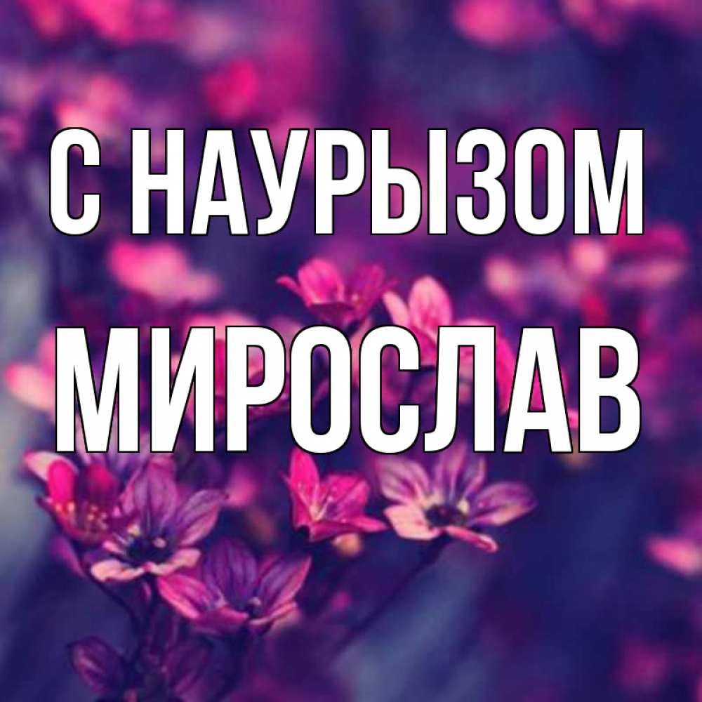 Открытка на каждый день с именем, Мирослав С наурызом небольшие цветы 1 Прикольная открытка с пожеланием онлайн скачать бесплатно 