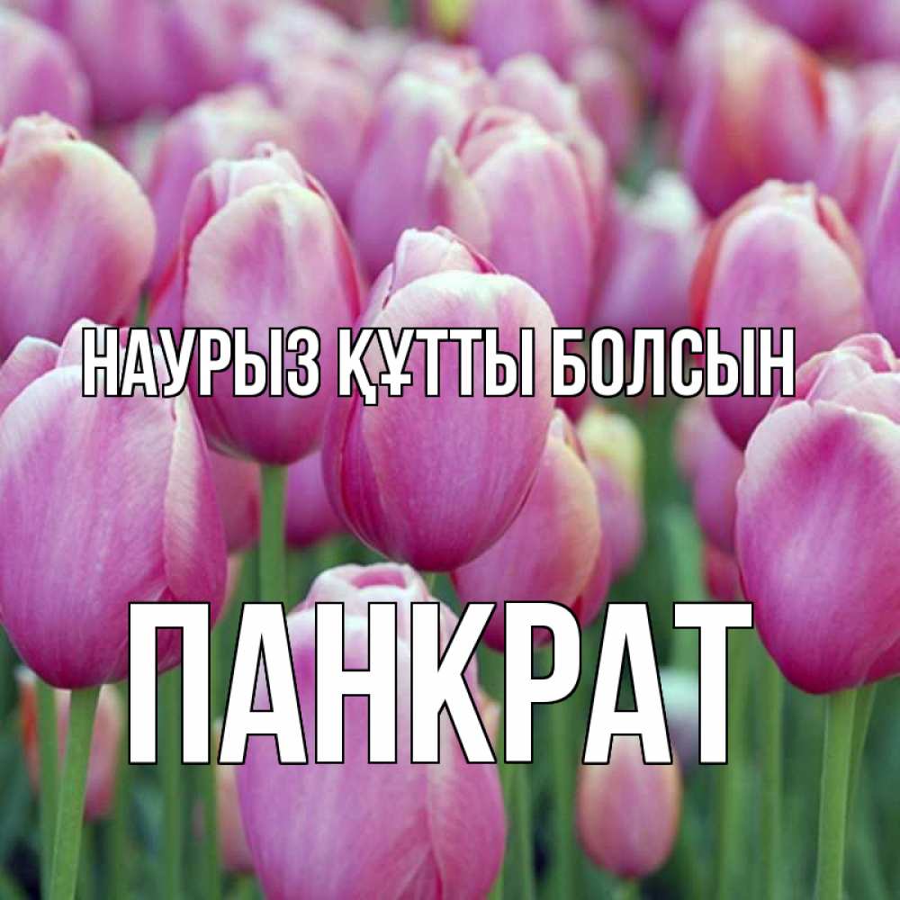 Открытка на каждый день с именем, Панкрат Наурыз құтты болсын на наурыз  день 3 Прикольная открытка с пожеланием онлайн скачать бесплатно 