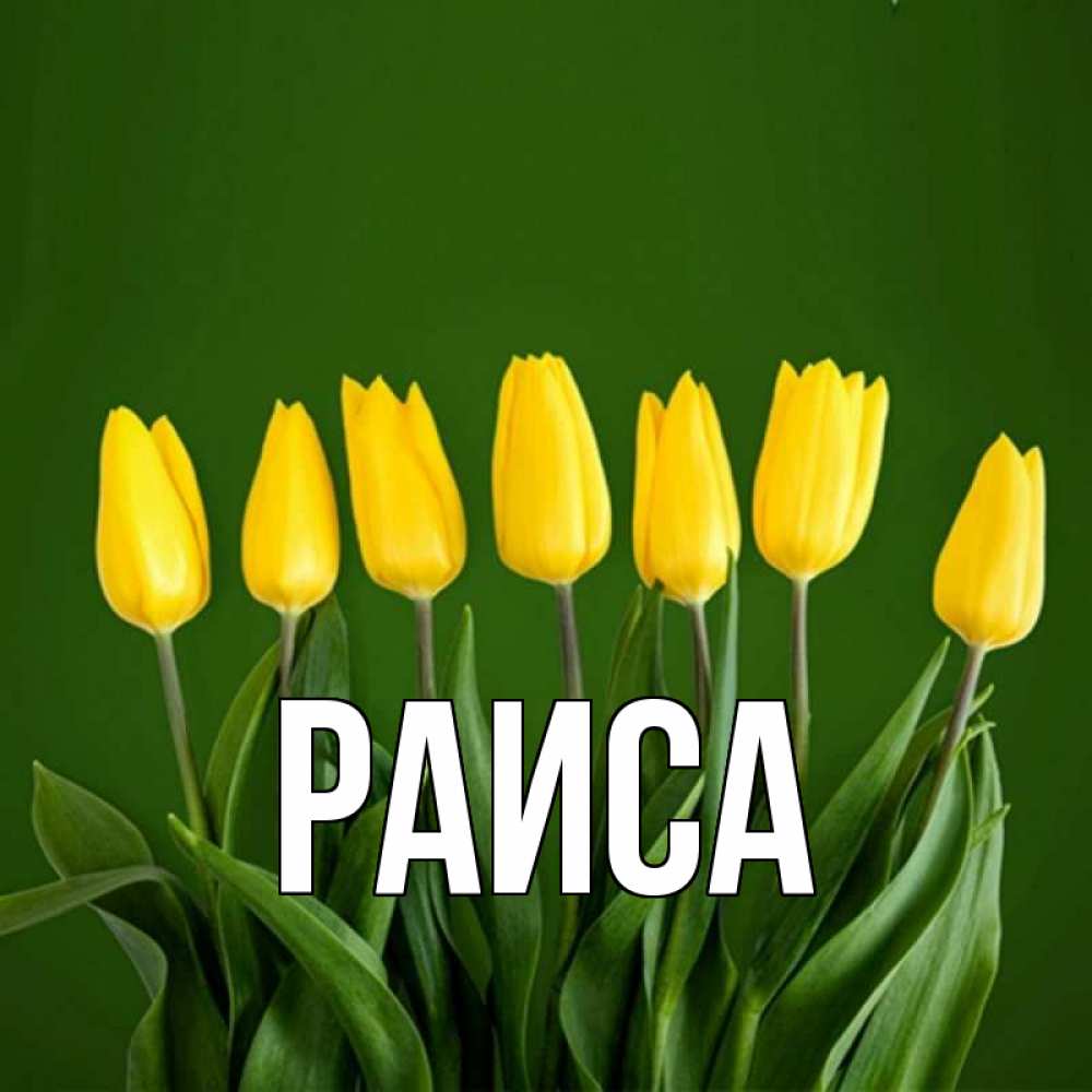 Открытка на каждый день с именем, Раиса Главная желтого цвета 3 Прикольная открытка с пожеланием онлайн скачать бесплатно 