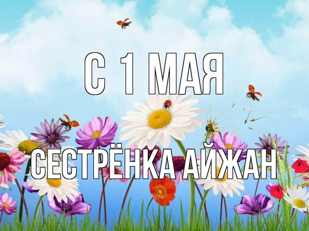 Открытка на каждый день с именем, Сестрёнка-Айжан С 1 мая С 1 мая Прикольная открытка с пожеланием онлайн скачать бесплатно 