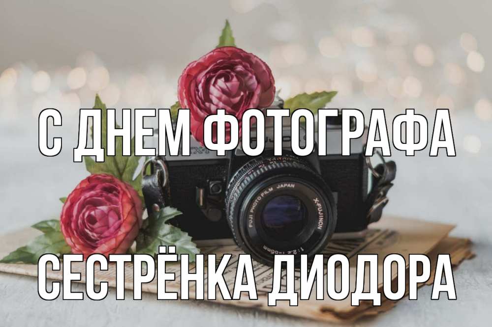 Открытка на каждый день с именем, Сестрёнка-Диодора С днем фотографа с днем фотографа Прикольная открытка с пожеланием онлайн скачать бесплатно 