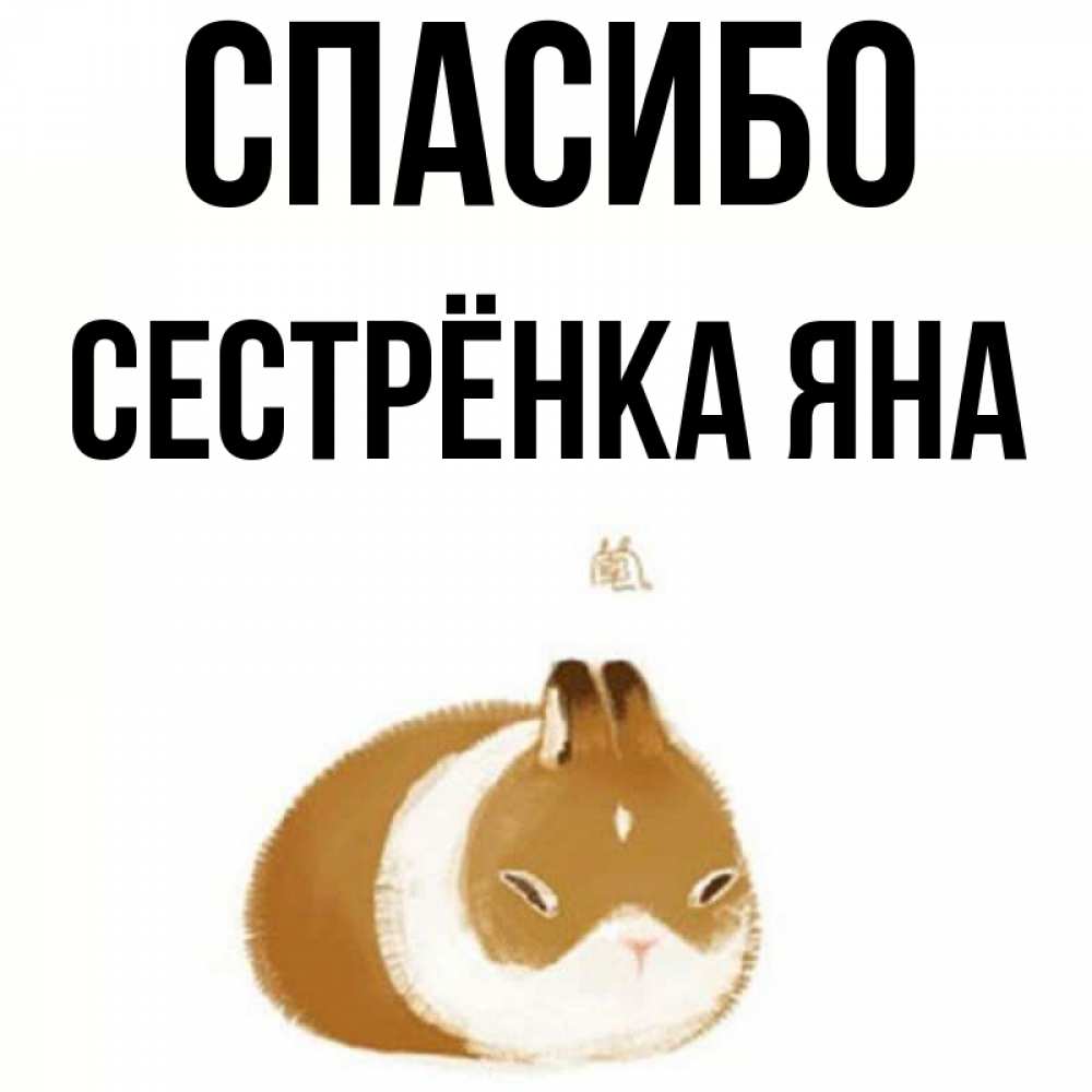 Открытка на каждый день с именем, Сестрёнка-Яна Спасибо коричнево белый домашний питомец Прикольная открытка с пожеланием онлайн скачать бесплатно 