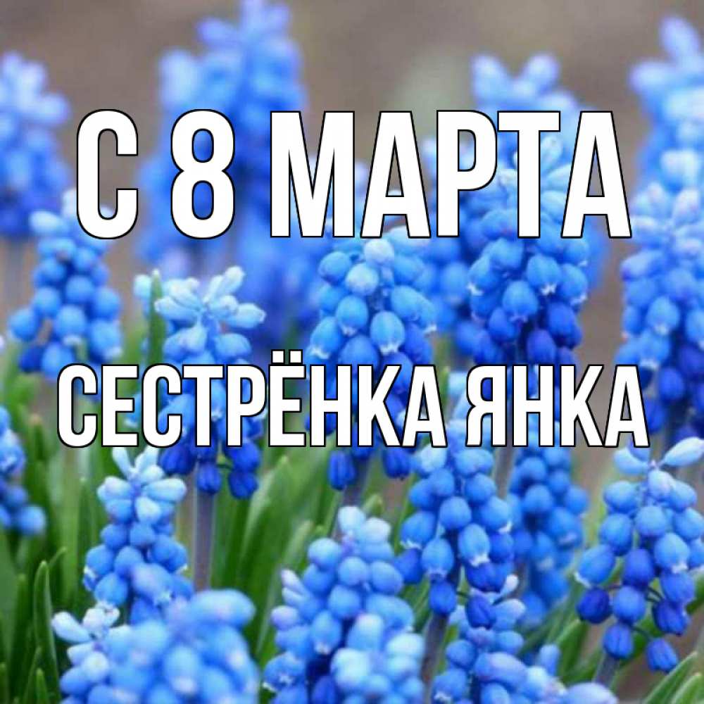Открытка на каждый день с именем, Сестрёнка-Янка С 8 МАРТА Поздравительная открытка для женщин с цветами на праздничную дату Прикольная открытка с пожеланием онлайн скачать бесплатно 