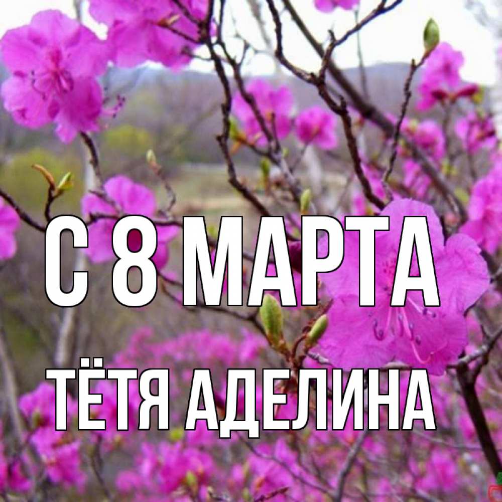 Открытка на каждый день с именем, Тётя-Аделина С 8 МАРТА международный женский день Прикольная открытка с пожеланием онлайн скачать бесплатно 