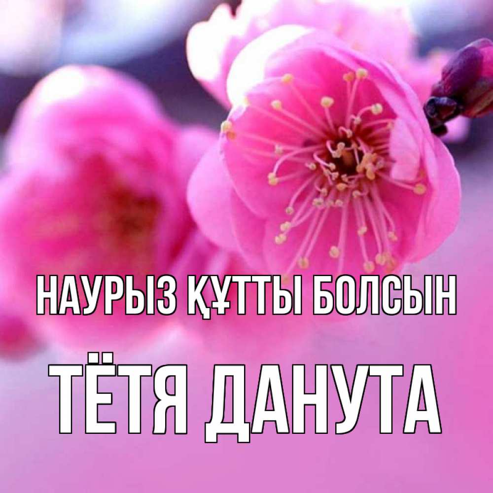 Открытка на каждый день с именем, Тётя-Данута Наурыз құтты болсын наурыз мейрам Прикольная открытка с пожеланием онлайн скачать бесплатно 