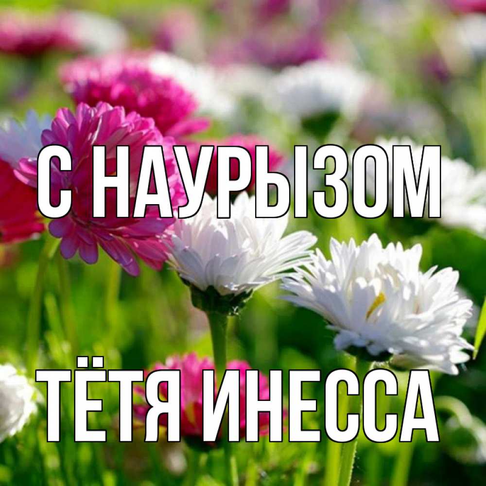 Открытка на каждый день с именем, Тётя-Инесса С наурызом праздник весны наурыз красота Прикольная открытка с пожеланием онлайн скачать бесплатно 
