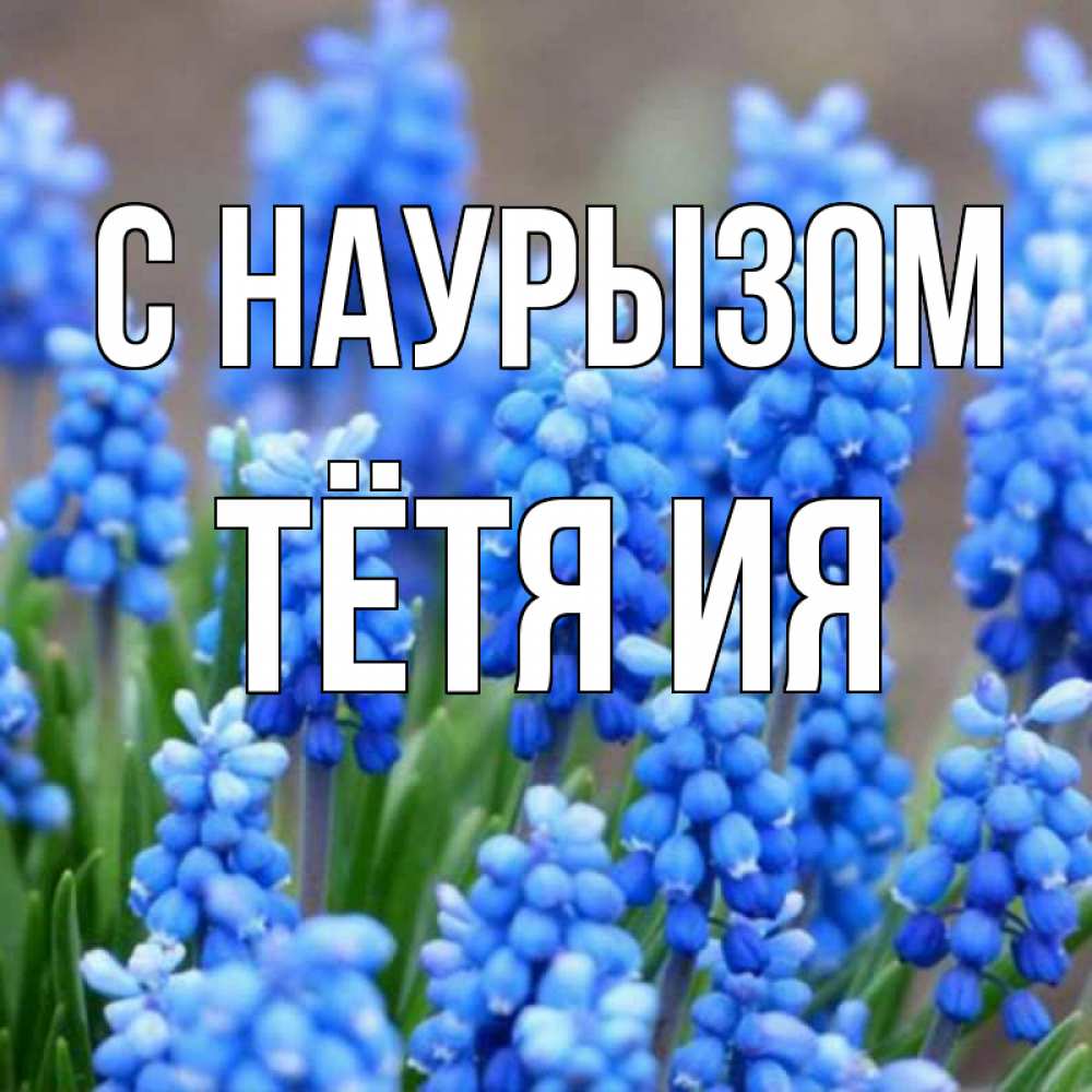Открытка на каждый день с именем, Тётя-Ия С наурызом Поздравительная открытка для женщин с цветами на праздничную дату Прикольная открытка с пожеланием онлайн скачать бесплатно 