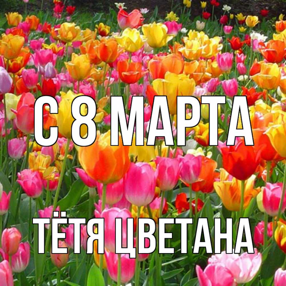 Открытка на каждый день с именем, Тётя-Цветана С 8 МАРТА на международный женский день Прикольная открытка с пожеланием онлайн скачать бесплатно 