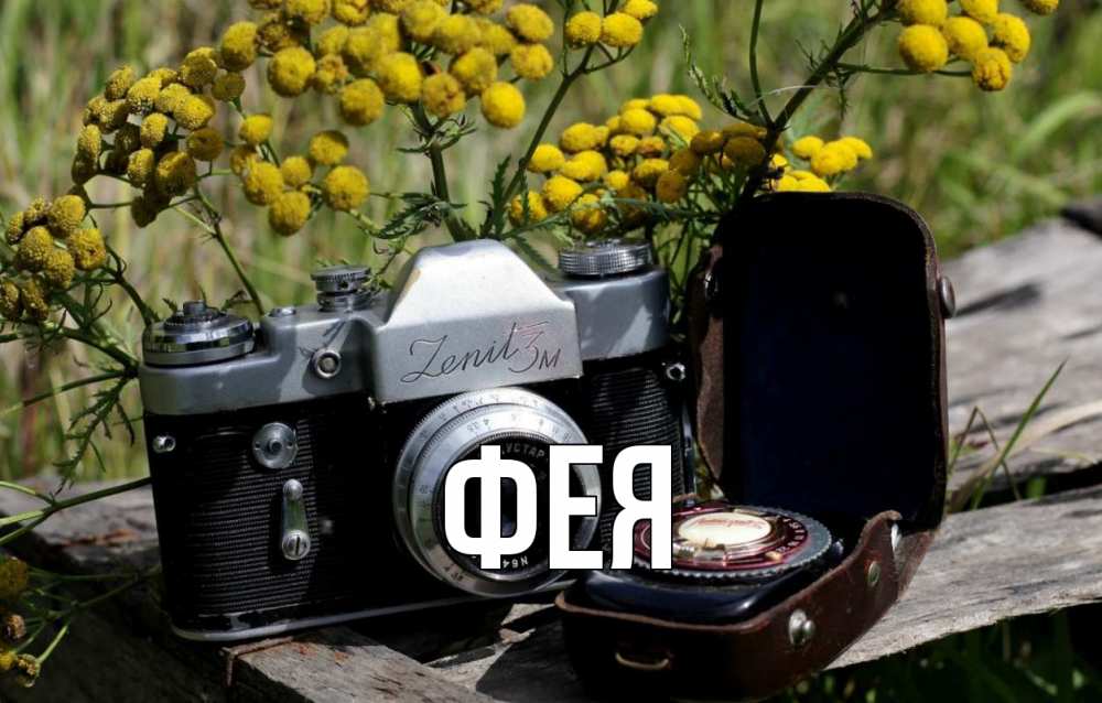 Открытка на каждый день с именем, Фея Главная с днем фотографа Прикольная открытка с пожеланием онлайн скачать бесплатно 