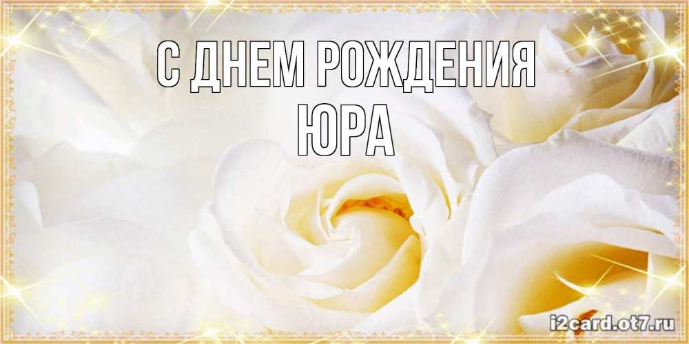 Открытка на каждый день с именем, Юра С днем рождения красивые розы и капли росы на этих чудесных цветах Прикольная открытка с пожеланием онлайн скачать бесплатно 