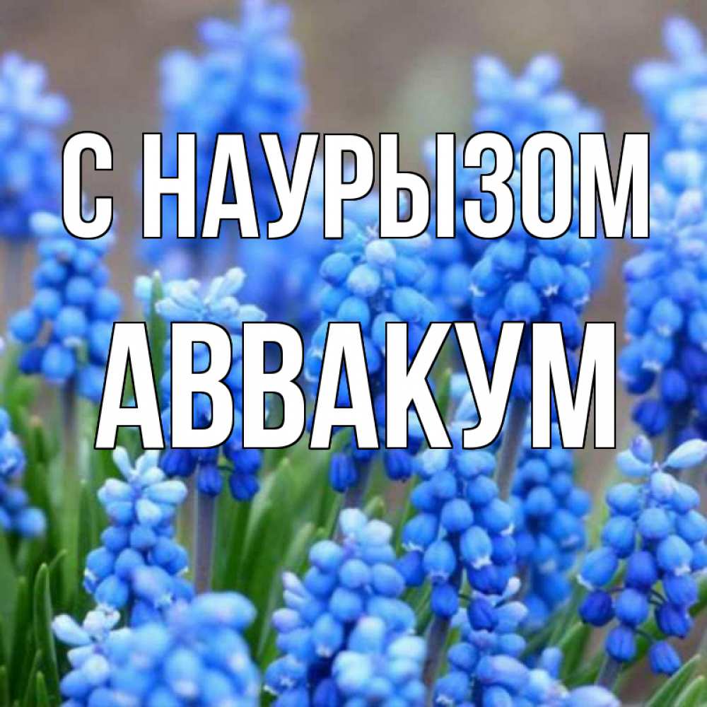 Открытка на каждый день с именем, Аввакум С наурызом Поздравительная открытка для женщин с цветами на праздничную дату Прикольная открытка с пожеланием онлайн скачать бесплатно 