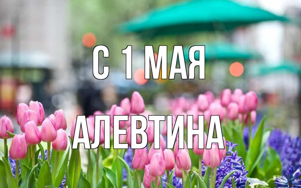 Открытка на каждый день с именем, Алевтина С 1 мая С 1 мая Прикольная открытка с пожеланием онлайн скачать бесплатно 