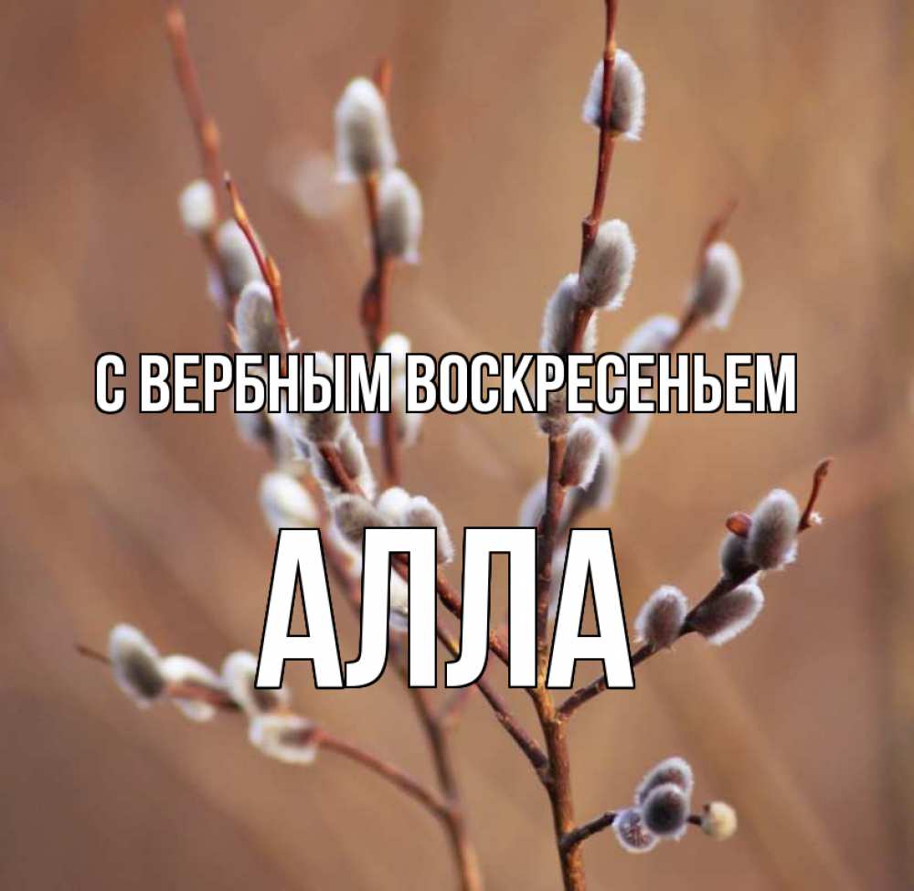 Открытка на каждый день с именем, Алла С вербным воскресеньем верба Прикольная открытка с пожеланием онлайн скачать бесплатно 