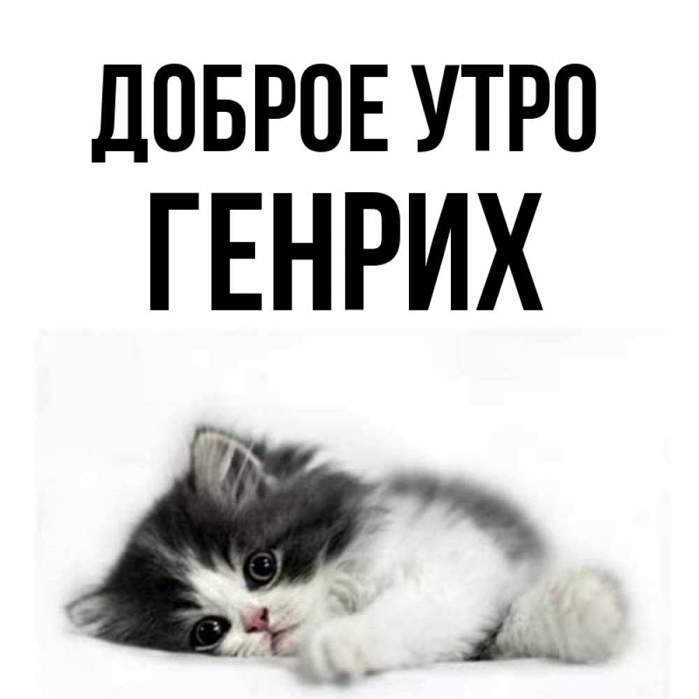 Открытка на каждый день с именем, Генрих Доброе утро кот лапки Прикольная открытка с пожеланием онлайн скачать бесплатно 