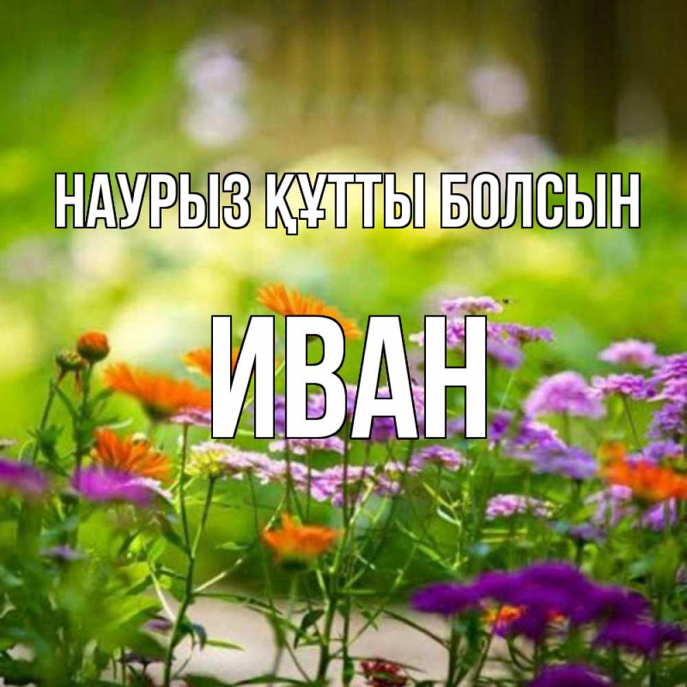 Открытка на каждый день с именем, Иван Наурыз құтты болсын цветы Прикольная открытка с пожеланием онлайн скачать бесплатно 