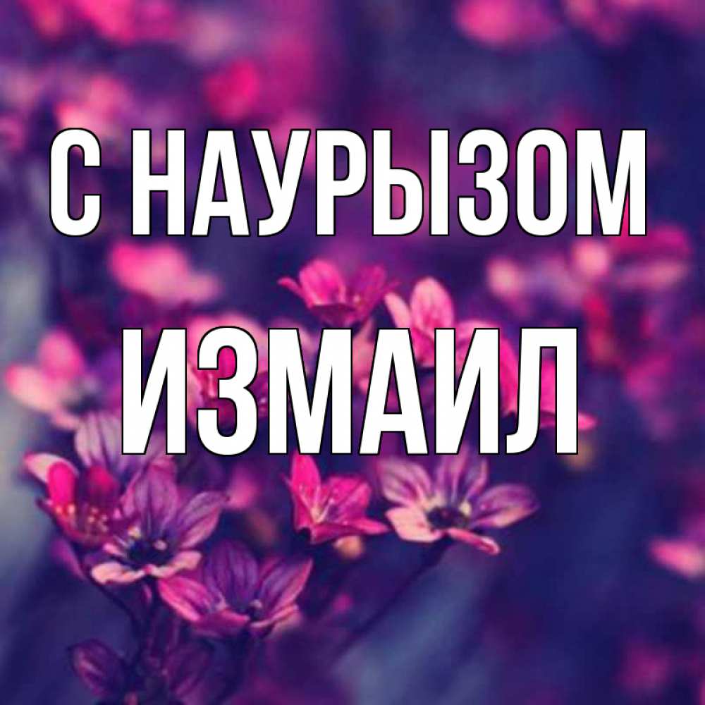 Открытка на каждый день с именем, Измаил С наурызом небольшие цветы 1 Прикольная открытка с пожеланием онлайн скачать бесплатно 