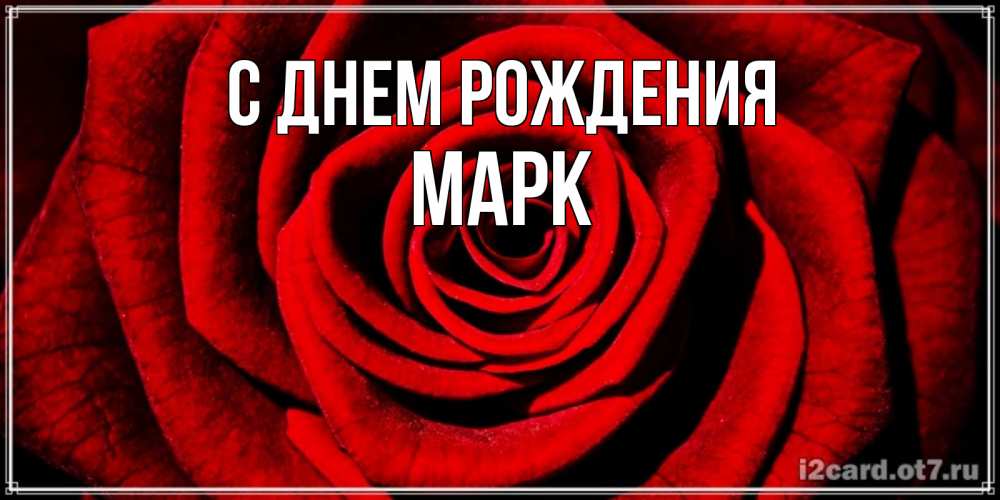 Открытка на каждый день с именем, МАРК С днем рождения алая роза Прикольная открытка с пожеланием онлайн скачать бесплатно 