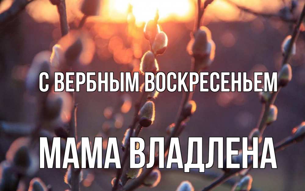 Открытка на каждый день с именем, Мама-Владлена С вербным воскресеньем верба Прикольная открытка с пожеланием онлайн скачать бесплатно 