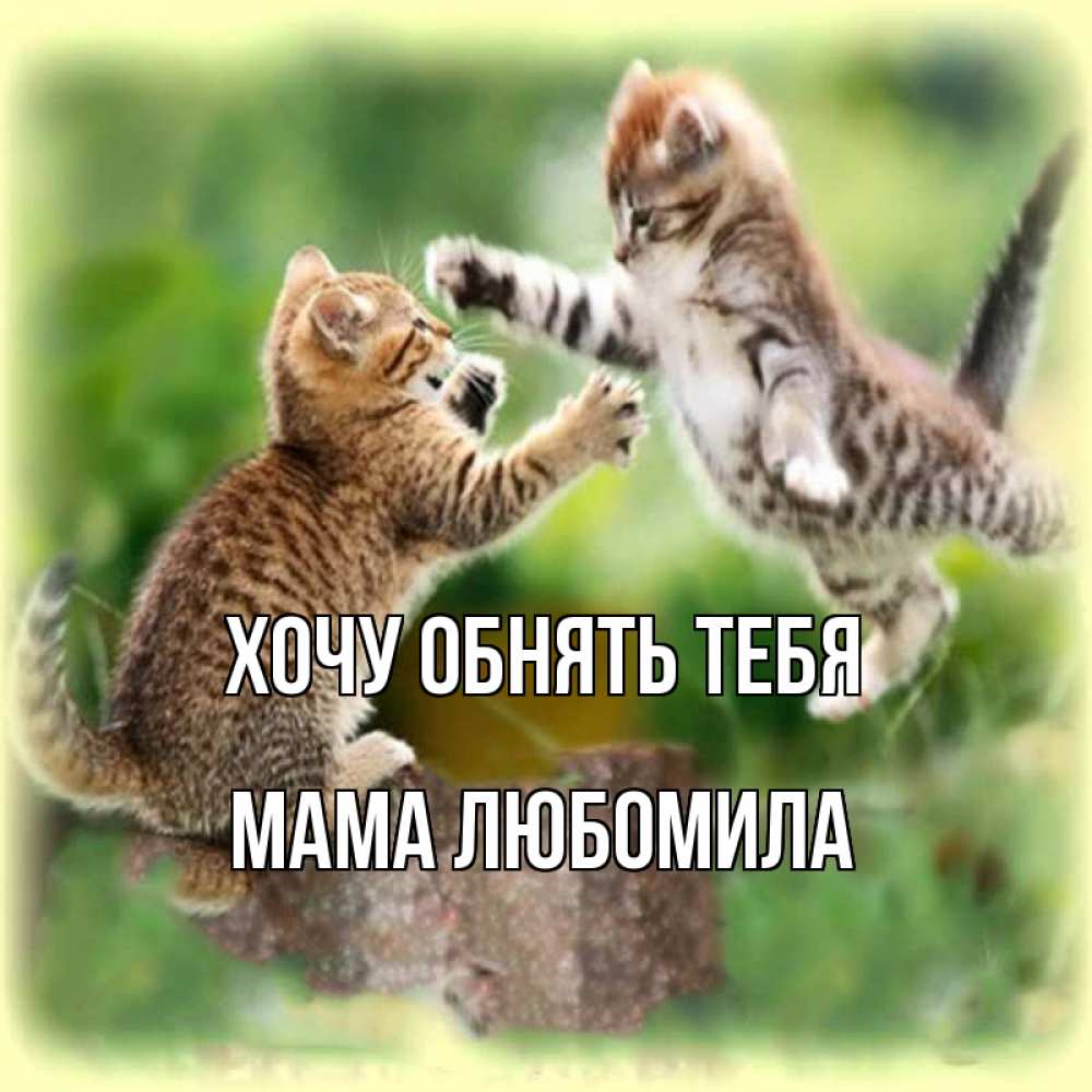 Открытка на каждый день с именем, Мама-Любомила Хочу обнять тебя игры котят Прикольная открытка с пожеланием онлайн скачать бесплатно 