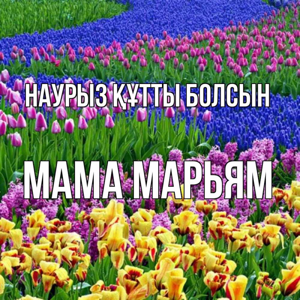 Открытка на каждый день с именем, Мама-Марьям Наурыз құтты болсын цветы Прикольная открытка с пожеланием онлайн скачать бесплатно 
