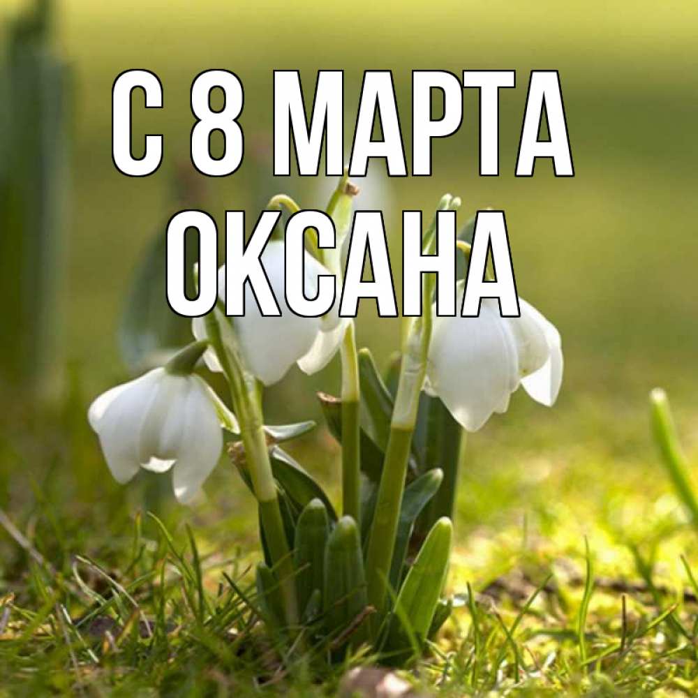 Открытка на каждый день с именем, Оксана С 8 марта ранние цветы 2 Прикольная открытка с пожеланием онлайн скачать бесплатно 