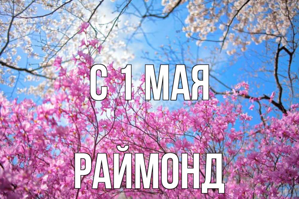 Открытка на каждый день с именем, Раймонд С 1 мая С 1 мая Прикольная открытка с пожеланием онлайн скачать бесплатно 