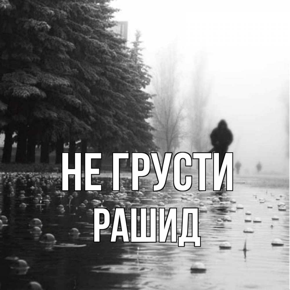 Открытка на каждый день с именем, Рашид Не грусти улица под дождем Прикольная открытка с пожеланием онлайн скачать бесплатно 