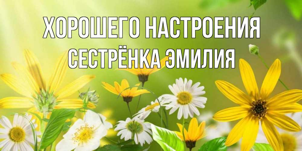 Открытка на каждый день с именем, Сестрёнка-Эмилия Хорошего настроения цветы Прикольная открытка с пожеланием онлайн скачать бесплатно 