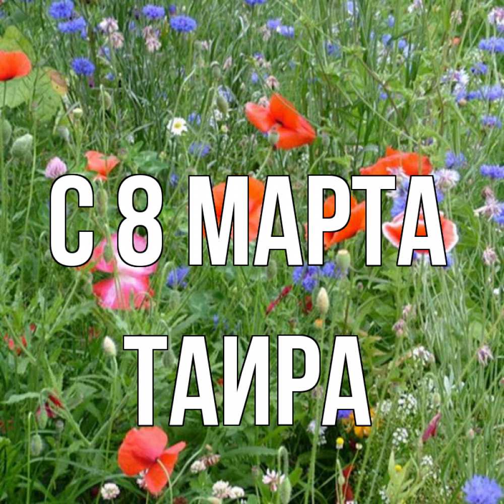 Открытка на каждый день с именем, Таира С 8 МАРТА международный женский день 4 Прикольная открытка с пожеланием онлайн скачать бесплатно 