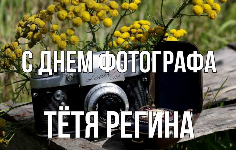 Открытка на каждый день с именем, Тётя-Регина С днем фотографа с днем фотографа Прикольная открытка с пожеланием онлайн скачать бесплатно 