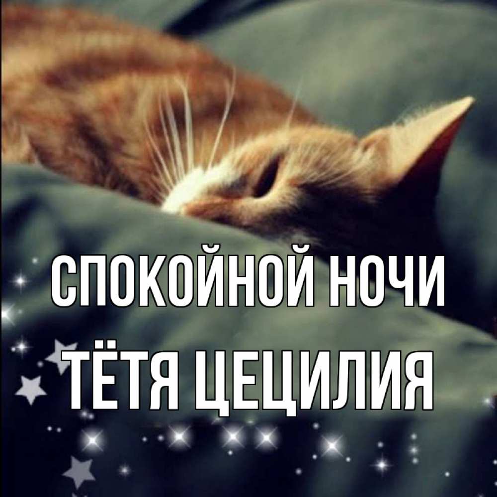 Открытка на каждый день с именем, Тётя-Цецилия Спокойной ночи кроватка Прикольная открытка с пожеланием онлайн скачать бесплатно 