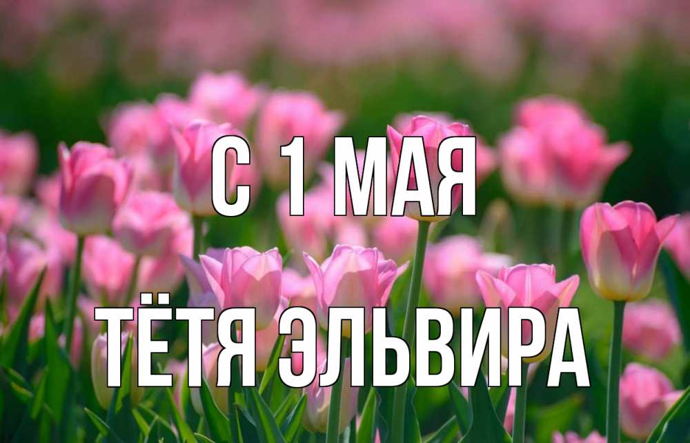 Открытка на каждый день с именем, Тётя-Эльвира С 1 мая С 1 мая Прикольная открытка с пожеланием онлайн скачать бесплатно 