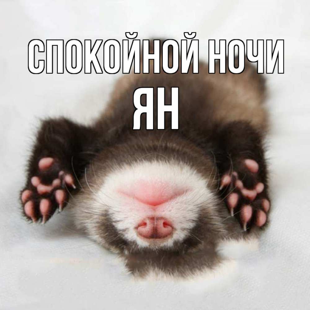 Открытки Спокойной Ночи Сладких Снов Прикольные