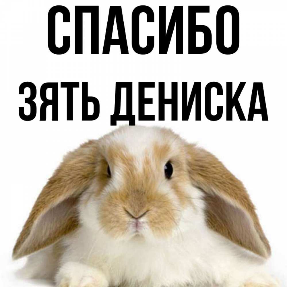 Картинки люблю дениску