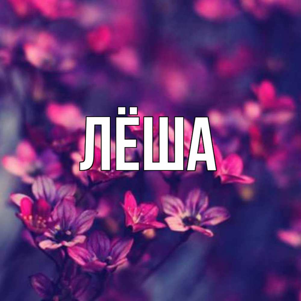 Картинка с именем леша, открытка тигром