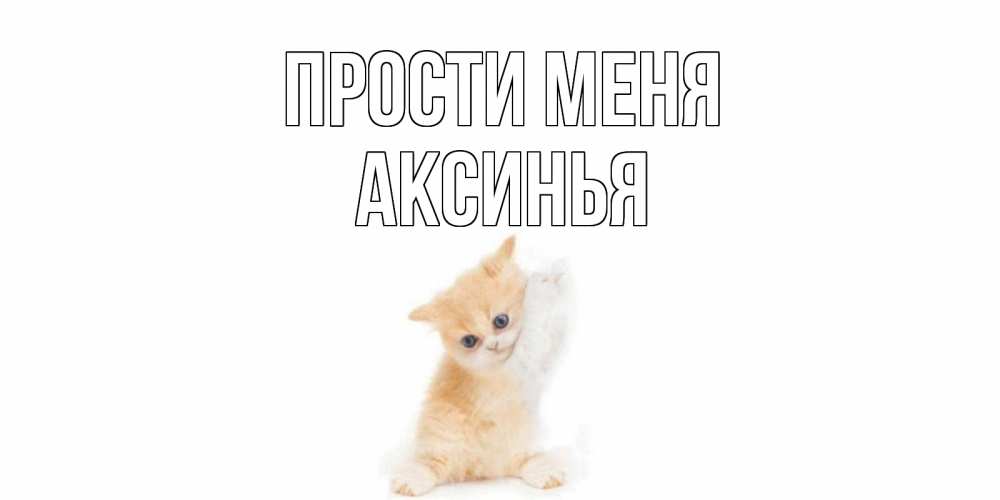 Открытка на каждый день с именем, Аксинья Прости меня кот Прикольная открытка с пожеланием онлайн скачать бесплатно 