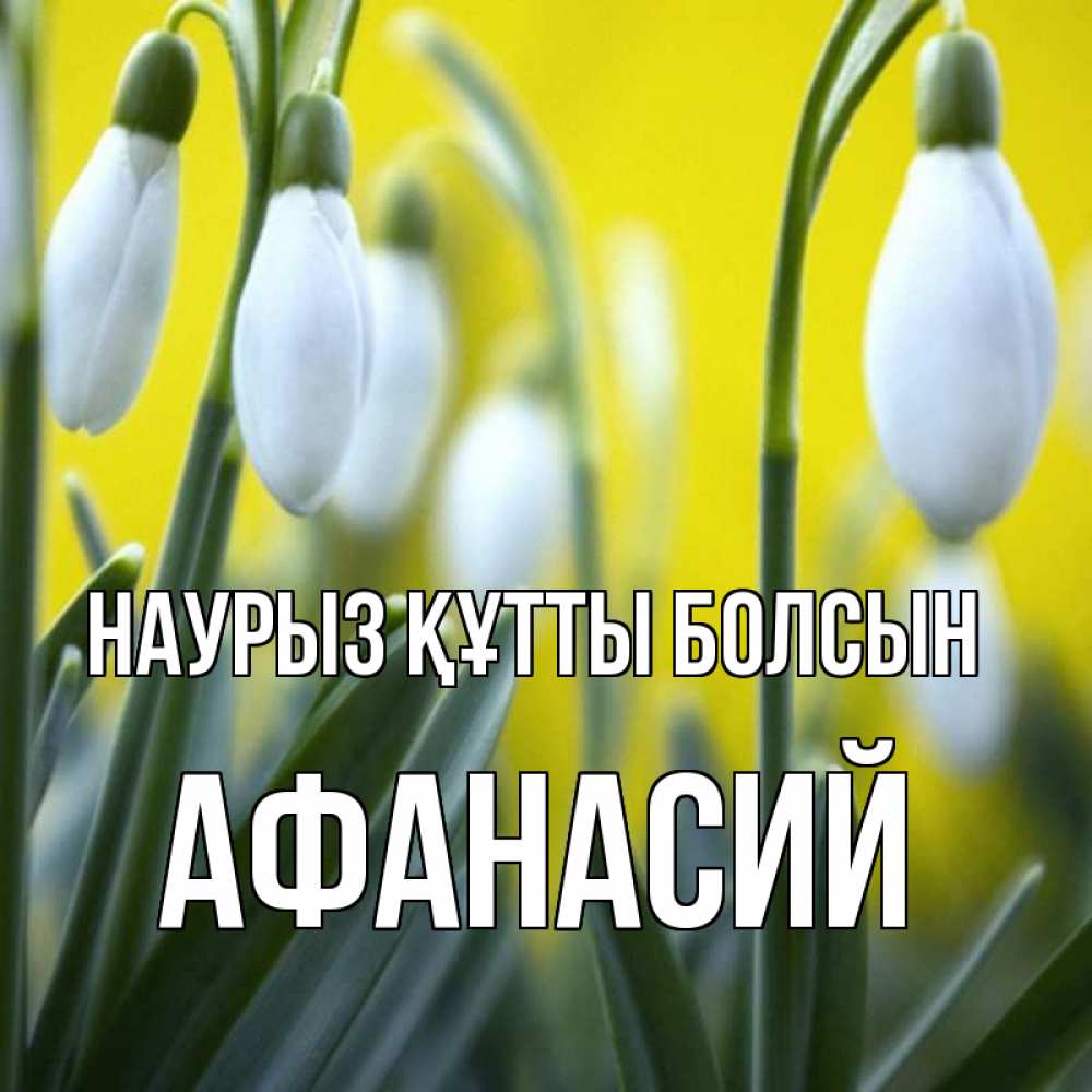 Открытка на каждый день с именем, Афанасий Наурыз құтты болсын весенние цветы Прикольная открытка с пожеланием онлайн скачать бесплатно 