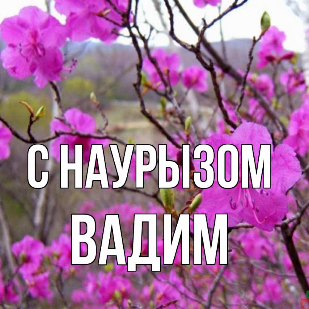 Открытка на каждый день с именем, Вадим С наурызом праздник весны наурыз Прикольная открытка с пожеланием онлайн скачать бесплатно 